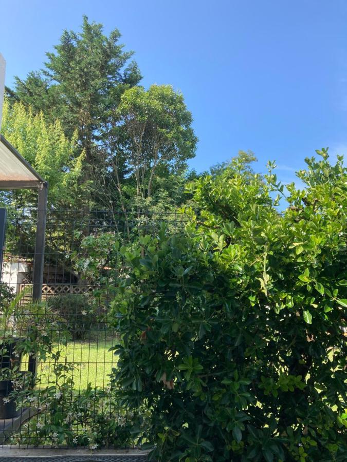 Holiday home Cozy Oasis: Quiet 2-room With Terrace And Free Parking *